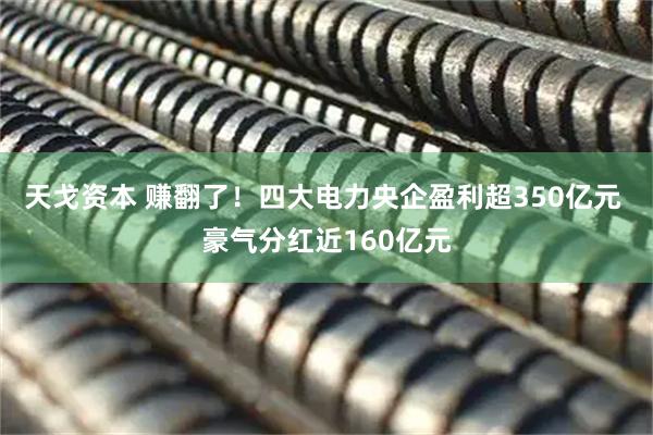 天戈资本 赚翻了！四大电力央企盈利超350亿元 豪气分红近160亿元